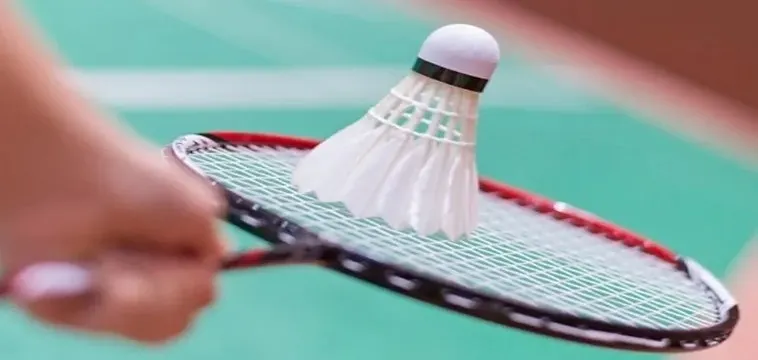 Cá Cược Cầu Lông Tại LD789: Mẹo Chơi & Chiến Thắng!