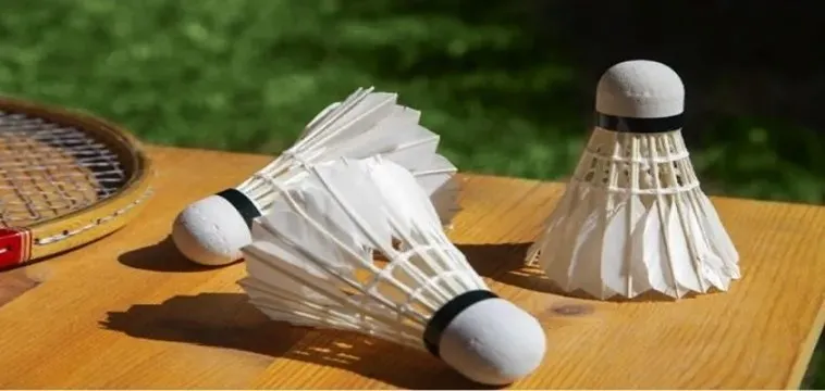 Cá Cược Cầu Lông Tại LD789: Mẹo Chơi & Chiến Thắng!