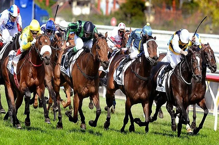 Đua Ngựa LD789: Bí Quyết Cá Cược Thắng Lớn Từ Cao Thủ